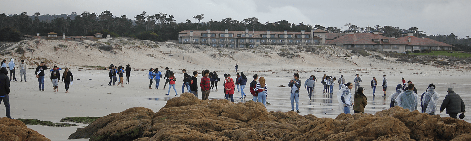 ELC students explore shoreline